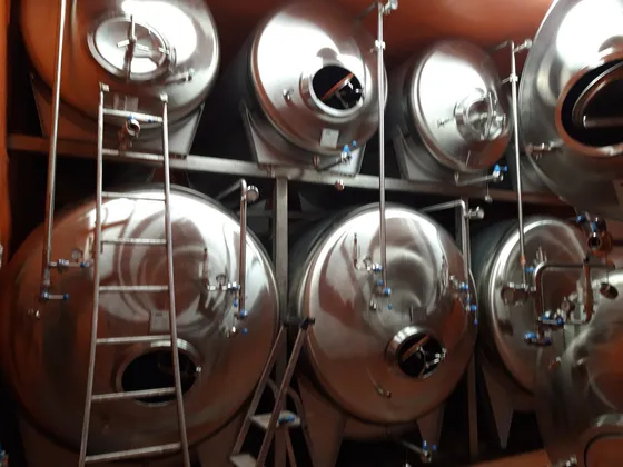 Stalen lagertanks met ladders in de brouwerij
