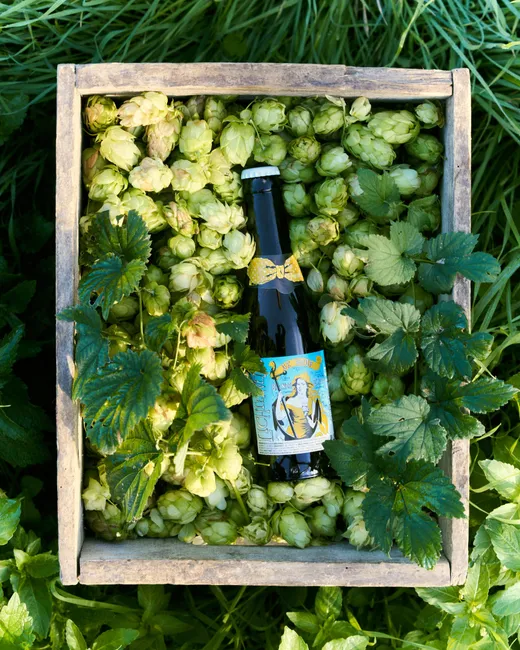 Een fles Oerbier tussen verse hop